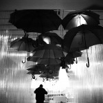 Everyday Jesus: Under His Umbrella