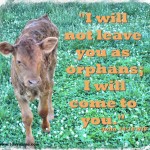 Hidden Ah-Ha’s: We are not Orphans
