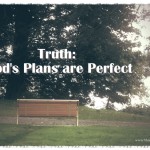 21 Truths: God’s Plans are Perfect
