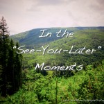 In the See-You-Later Moments (Three-Word Wednesday)