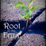 From the Root to the Fruit