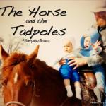 The Horse and the Tadpoles #EverydayJesus Link-Up
