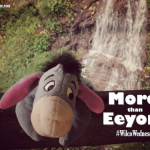 More Than Eeyore #WilcoWednesday