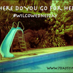 Where do you go for help? #WilcoWednesday